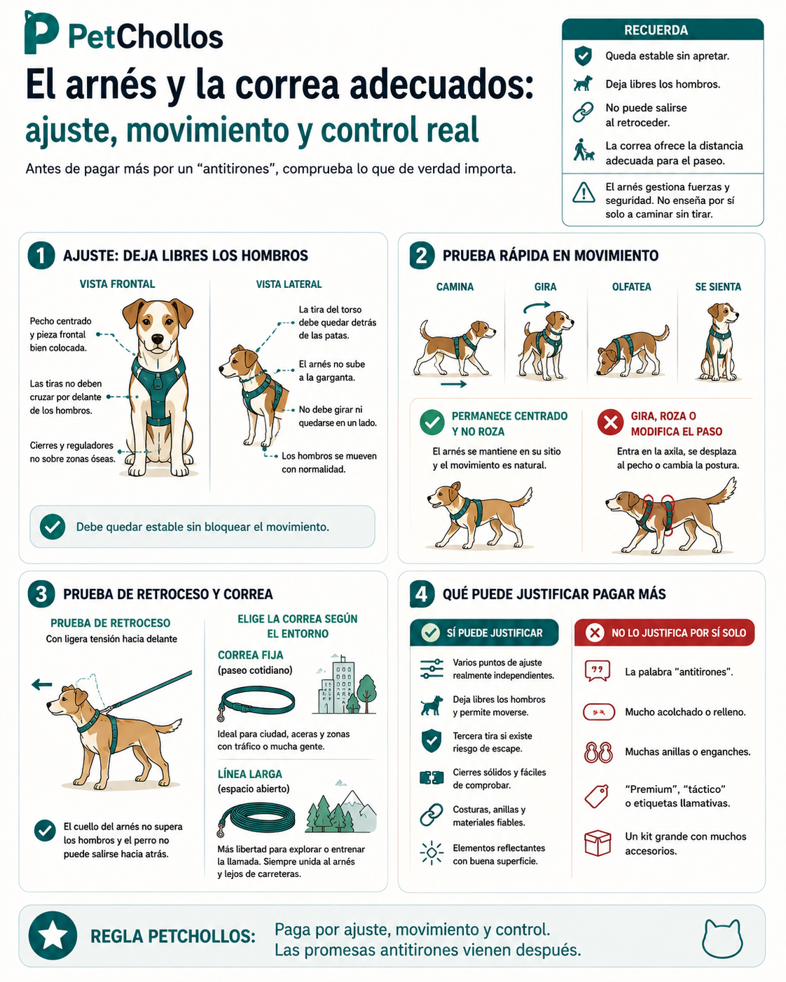 Infografía para comprobar el ajuste del arnés en movimiento, el riesgo de escape, elegir la correa según el entorno y distinguir función de promesas antitirones.